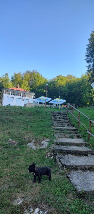 Cabana Cerbu Bozovici Экстерьер фото